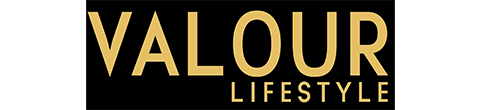 valour logo